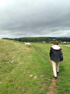 Kathryn walks in a sheep field like her MC from The Badger Knight.